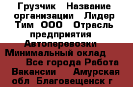 Грузчик › Название организации ­ Лидер Тим, ООО › Отрасль предприятия ­ Автоперевозки › Минимальный оклад ­ 19 000 - Все города Работа » Вакансии   . Амурская обл.,Благовещенск г.